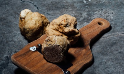 Tartufo, il Piemonte a difesa della sua tradizione