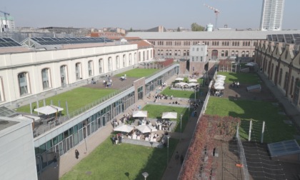 Campus grapes: al Politecnico di Torino la prima vigna urbana hi-tech al mondo