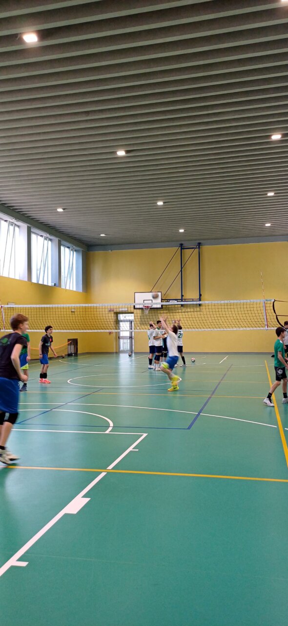 palestra