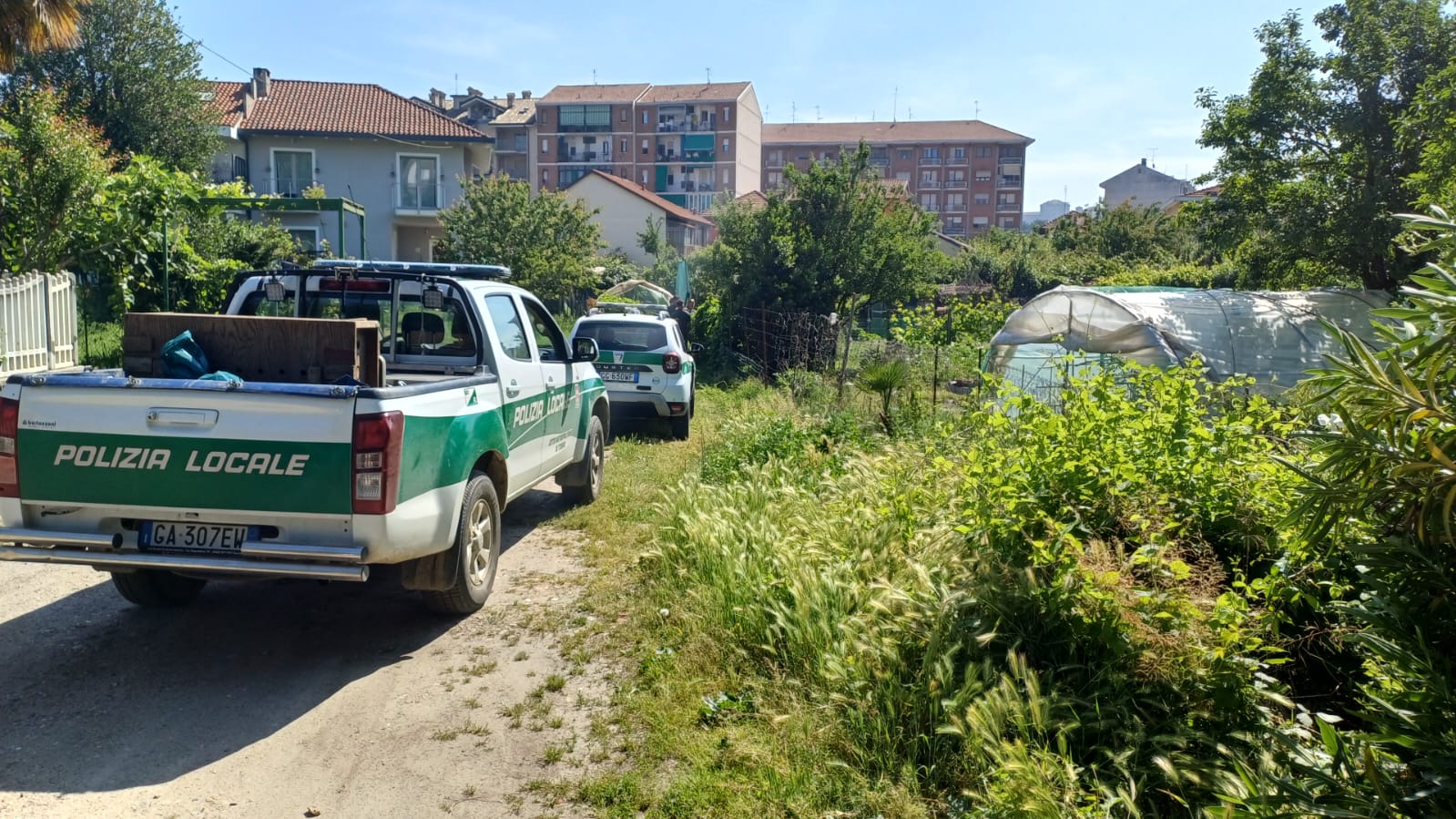 recupero_femmina_capriolo_Moncalieri_05_2025_3