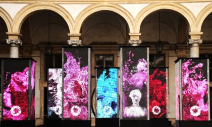 Installazione multimediale "Doctrix: Storie di donne sapienti e coraggiose"