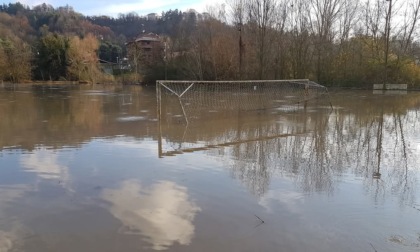 Riqualificazione del Meisino: LAV e OIPA presentano reclamo