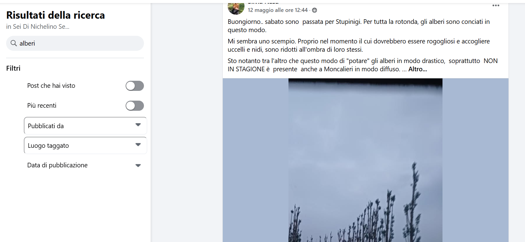 Immagine 2025-06-04 134633