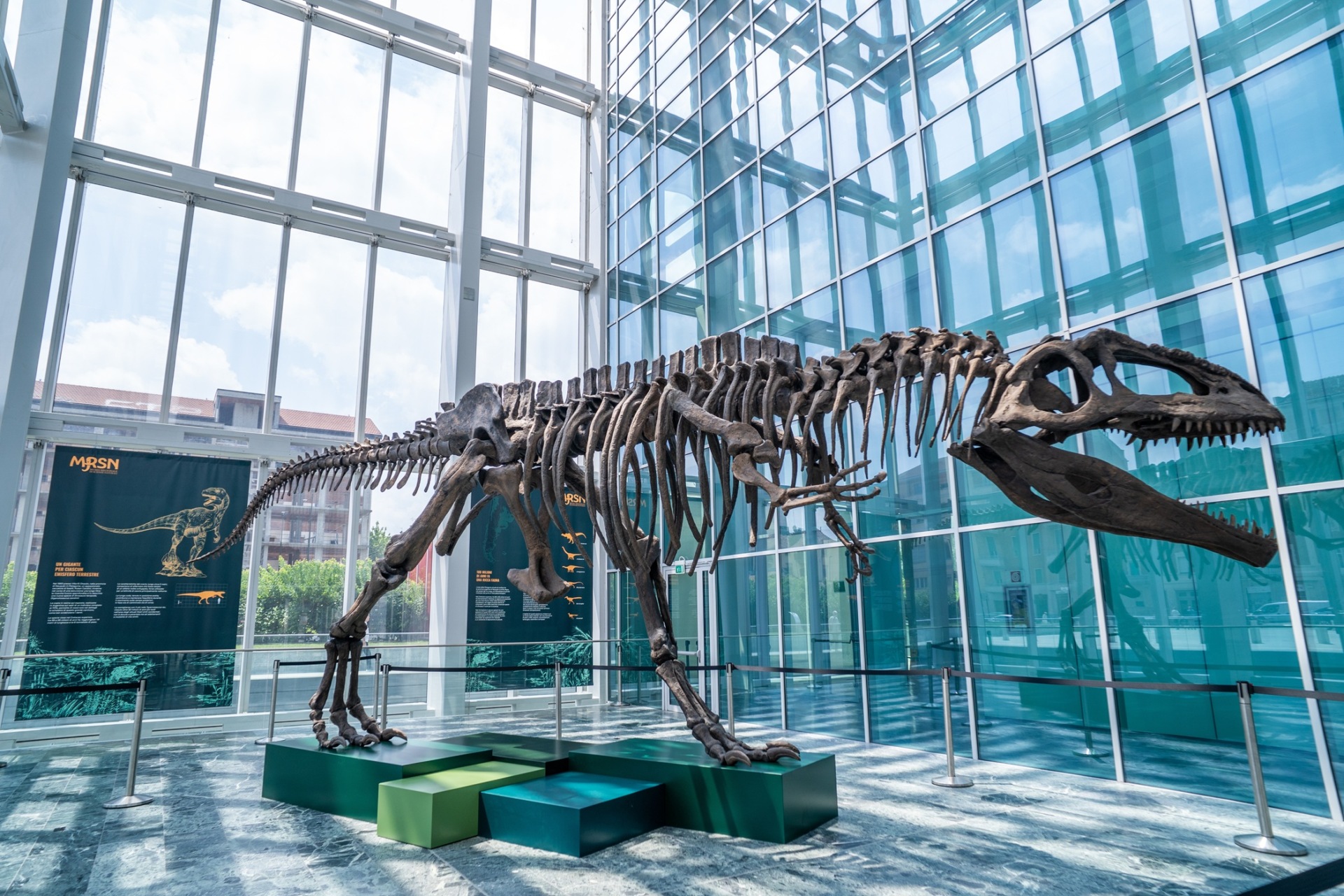 UN DINOSAURO A PALAZZO (2)