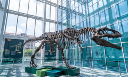 "Un dinosauro a Palazzo" trasforma il Grattacielo Piemonte in uno spazio di divulgazione scientifica