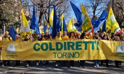 DDL Coltivaitalia, per Coldiretti Torino: "Risorse per il futuro dell’agricoltura che premiano le nostre battaglie"
