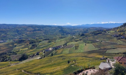 Spighe Verdi 2025: il Piemonte è la regione più "verde" con ben 18 località nella classifica