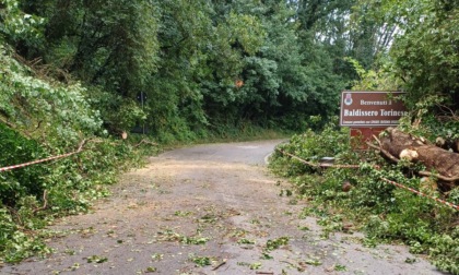 Caduta di alberi: tra Baldissero Torinese e Pavarolo strada chiusa al traffico