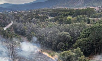 Incendio boschivo a Caprie, intervento dei pompieri