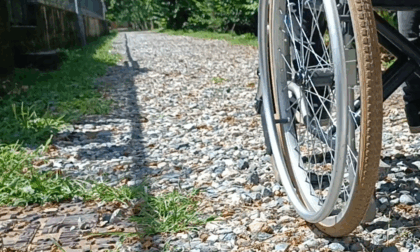 Parco del Meisino, gli attivisti per l'ambiente: "I percorsi ciclopedonali con il nuovo pietrisco sono impraticabili"