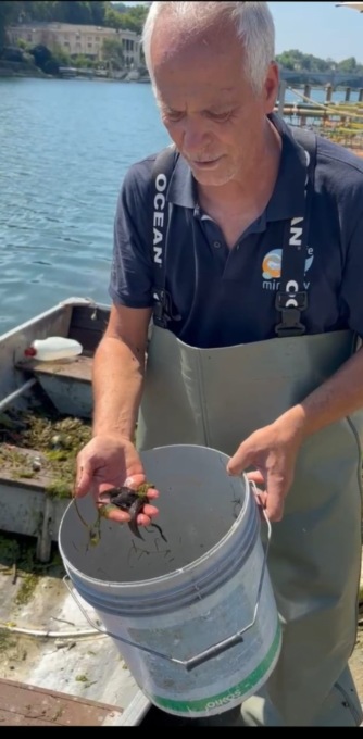 Operazione di pulizia dai rifiuti sul fiume Po: recuperati anche pesci siluro, specie invasiva