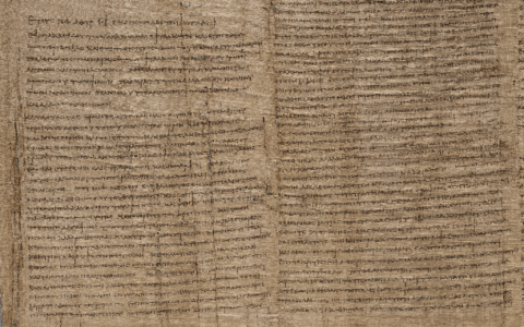 Mezzo milione di euro alla papirologia di UniTo per lo studio delle rivendicazioni delle classi oppresse