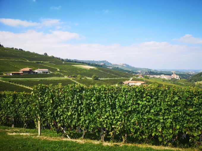 Dalla Regione Piemonte 12 milioni per restituire spazio alla natura e contrastare il consumo di suolo