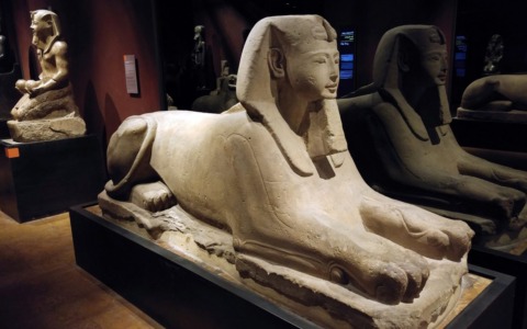 Torino: un itinerario tra i musei più interessanti