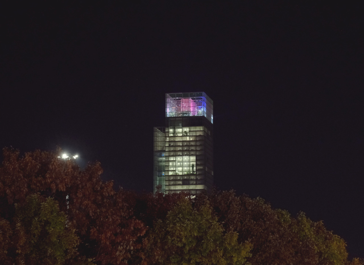 Luci d’Artista 2025, accesa anche l’installazione “Swarms”di Chiara Camoni