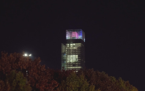 Luci d’Artista 2025, accesa anche l’installazione “Swarms”di Chiara Camoni