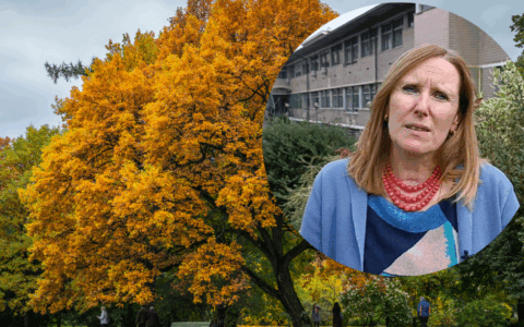 Verde urbano, Larcher: “Avere suoli permeabili e vegetazione che intercetti le acque meteoriche è fondamentale per ridurre gli allagamenti”