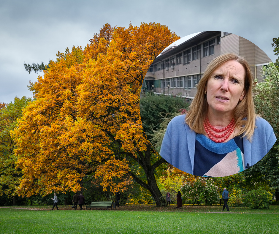 Verde urbano, Larcher: “Avere suoli permeabili e vegetazione che intercetti le acque meteoriche è fondamentale per ridurre gli allagamenti”