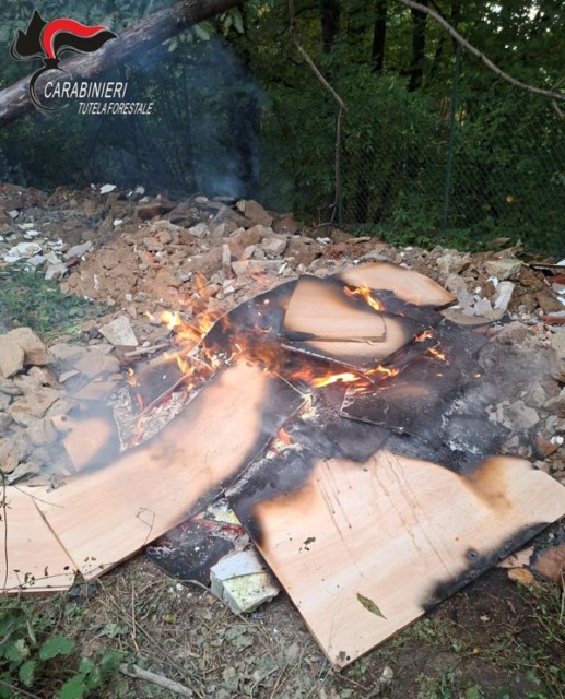 Rogo in mezzo al bosco con vecchi mobili di legno, l’intervento dei carabinieri forestali di Torino