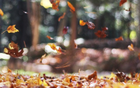 Previsioni meteo a Torino e provincia (24, 25 e 26 ottobre 2025)