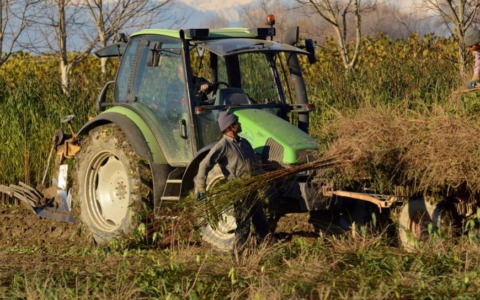 Caporalato, sfruttamento del lavoro e “schiavitù”, due audizioni in commissione Legalità