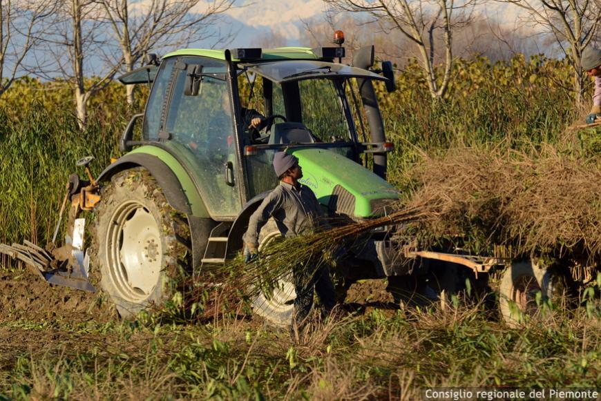 Caporalato, sfruttamento del lavoro e “schiavitù”, due audizioni in commissione Legalità