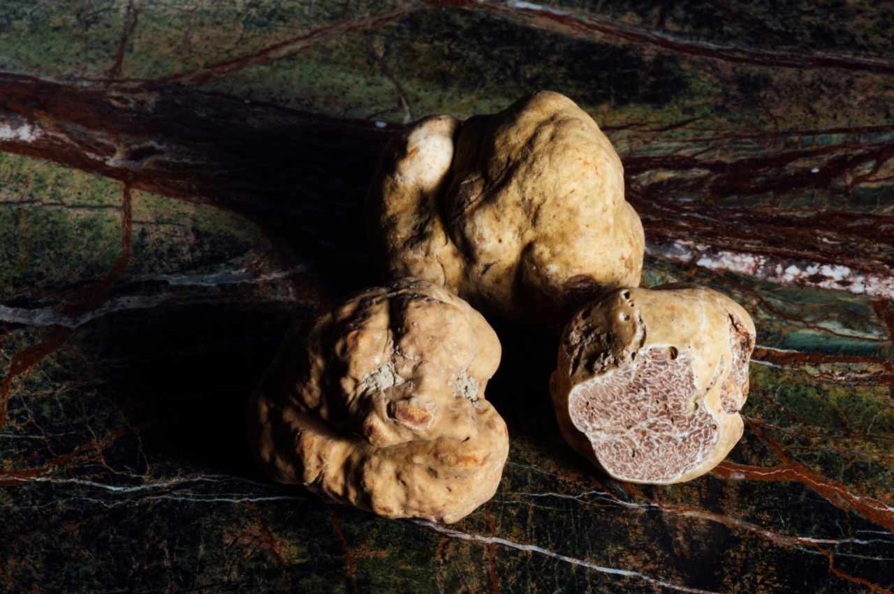 Al via la stagione del tartufo: oltre 20 fiere e un calendario di eventi per valorizzare l’eccellenza gastronomica