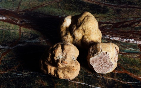 Al via la stagione del tartufo: oltre 20 fiere e un calendario di eventi per valorizzare l’eccellenza gastronomica