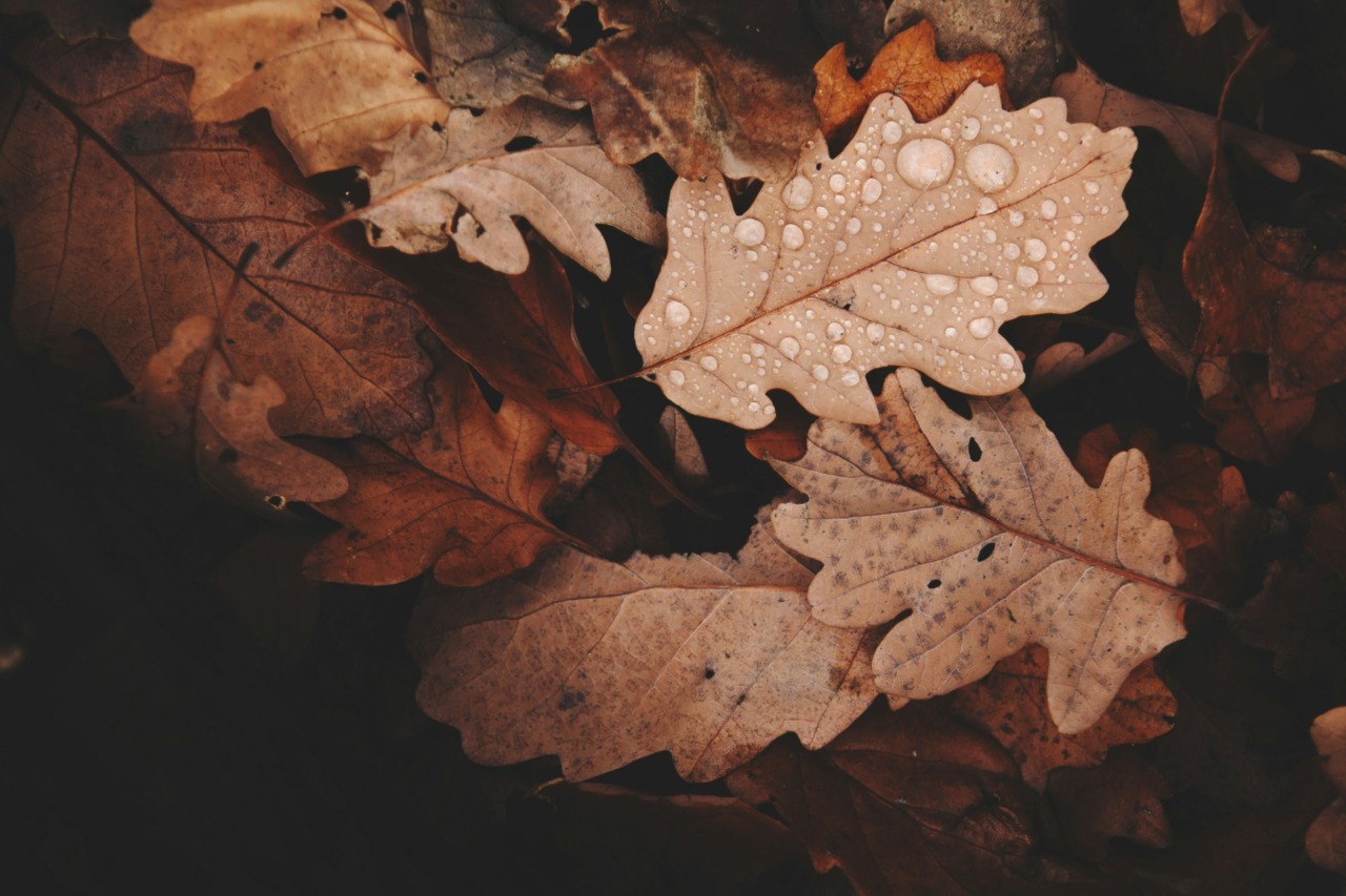 Previsioni meteo a Torino e provincia (20, 21 e 22 ottobre 2025)
