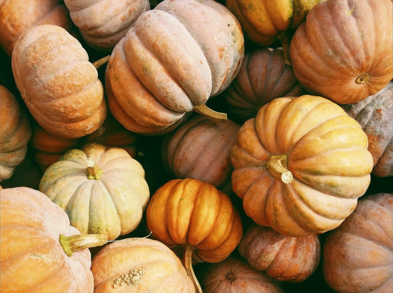 Previsioni meteo a Torino e provincia (7, 8 e 9 ottobre 2025)