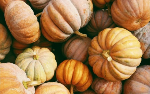 Previsioni meteo a Torino e provincia (7, 8 e 9 ottobre 2025)