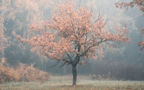 Previsioni meteo a Torino e provincia (13, 14 e 15 ottobre 2025)