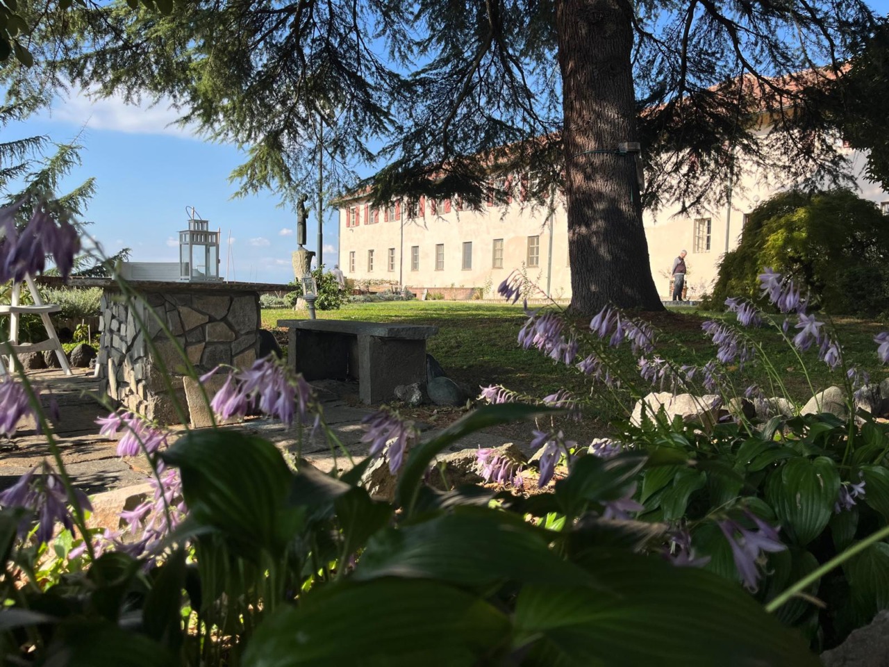 Cosa fare a Torino e provincia: gli eventi del weekend dell’11 e 12 ottobre 2025