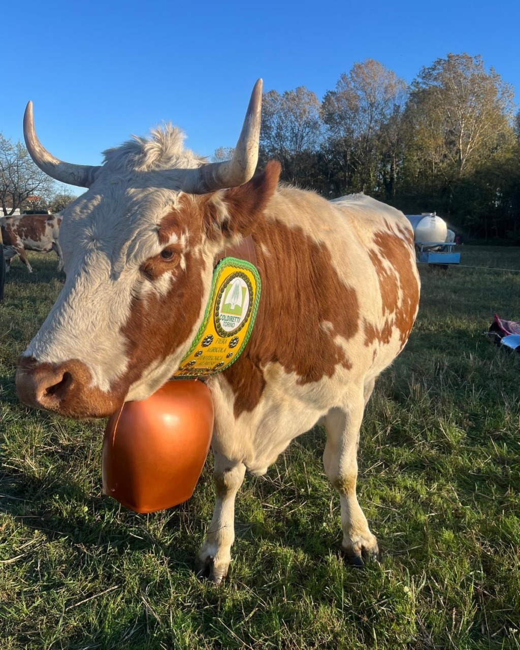Coldiretti Torino presenta l’andamento dell’economia agricola alla chiusura dell’annata agraria 2025