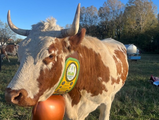 Coldiretti Torino presenta l’andamento dell’economia agricola alla chiusura dell’annata agraria 2025