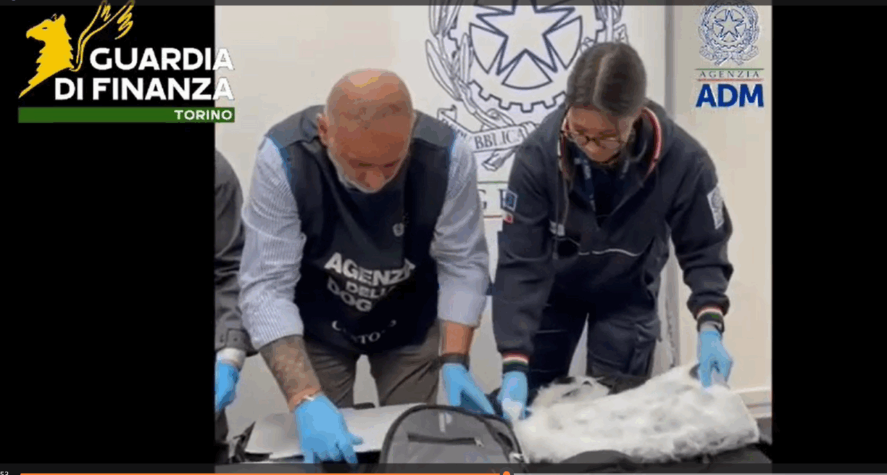 Gdf Torino: unitamente a personale dell’Adm, sequestrati circa 9 chilogrammi di cocaina all’aeroporto “Sandro Pertini”