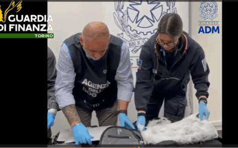 Gdf Torino: unitamente a personale dell’Adm, sequestrati circa 9 chilogrammi di cocaina all’aeroporto “Sandro Pertini”