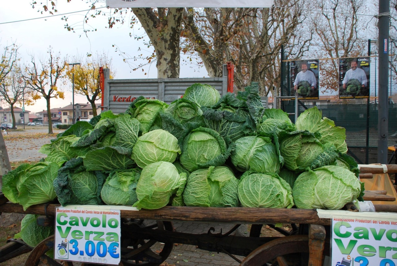 Da mercoledì 19 novembre a Montalto Dora torna la Sagra del Cavolo Verza