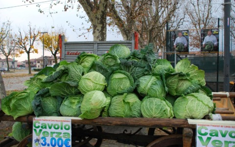Da mercoledì 19 novembre a Montalto Dora torna la Sagra del Cavolo Verza