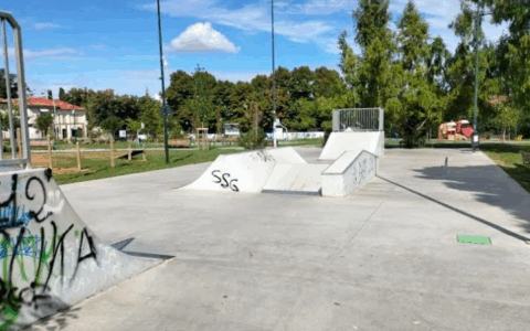 Skate. Paint. Care & Repeat: percorso formativo per under 30 per trasformare lo skatepark di Chieri