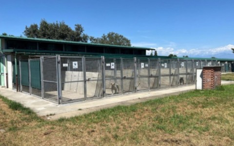 A Torino entro il 2027 sarà pronto il nuovo canile sanitario in Strada Cuorgnè