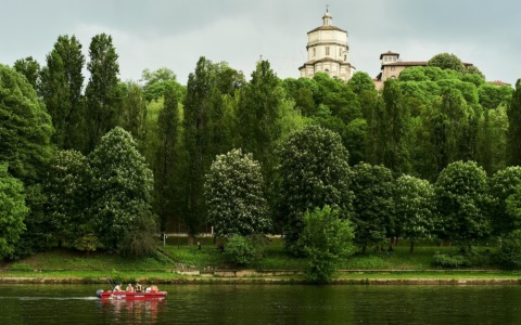 Lo studio di UniTo: “Il lusso della biodiversità: perché i quartieri più ricchi hanno più natura”