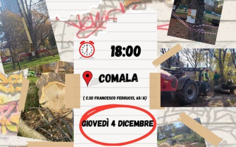 Giovedì 4 dicembre nuova assemblea di EsseNon-Torino contro il taglio di alberi del Parco Artiglieri da Montagna