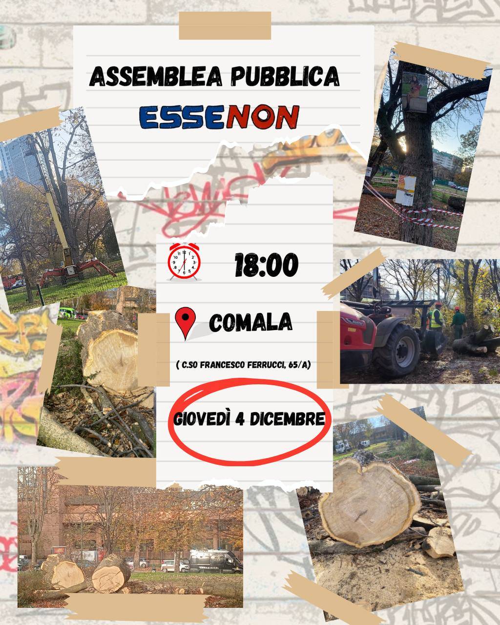 Giovedì 4 dicembre nuova assemblea di EsseNon-Torino contro il taglio di alberi del Parco Artiglieri da Montagna