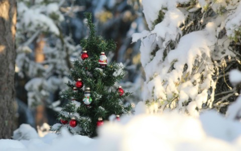 Previsioni meteo a Torino e provincia (24-25-26 dicembre 2025)