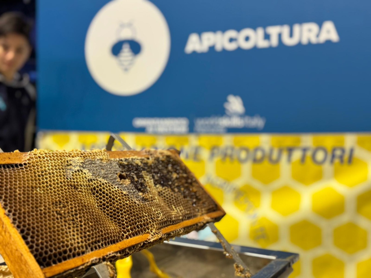 La Regione ha approvato gli esiti del bando “Il regno delle api, sentinelle della natura – anno scolastico 2025/2026”