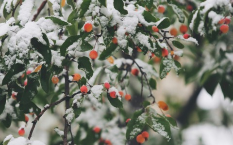 Previsioni meteo a Torino e provincia (01-02-03 novembre 2025)