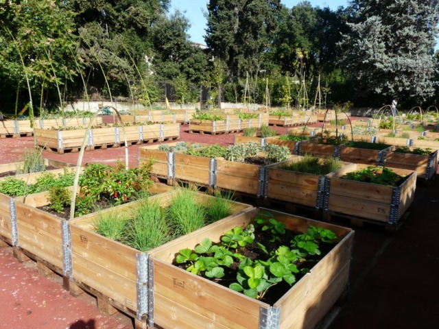 Orti urbani: Chieri investe 90mila euro per 17 nuove casette