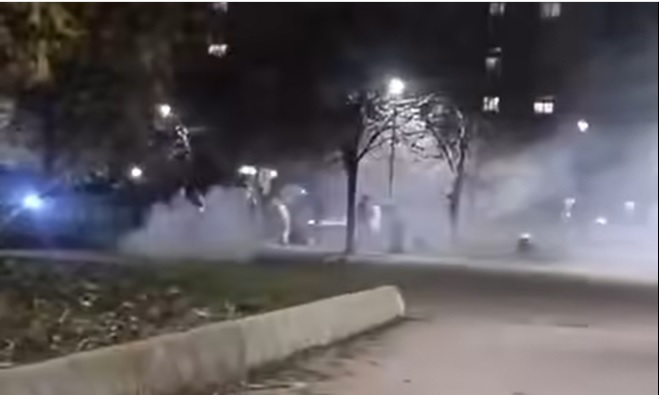 Ai giardini Saragat situazione fuori controllo