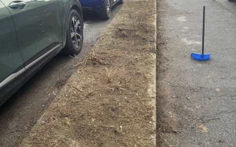 Nichelino, giovane ripulisce dai rifiuti via San Giuseppe: “Vorrei tanto fossero ripiantati gli alberi abbattuti e tagliata l’erba”